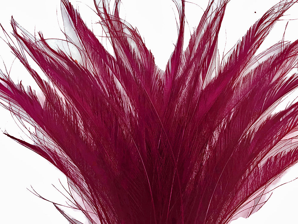 5 Pieces - 10-12" Burgundy Bleached & Dyed Peacock Swords Cut Feathers