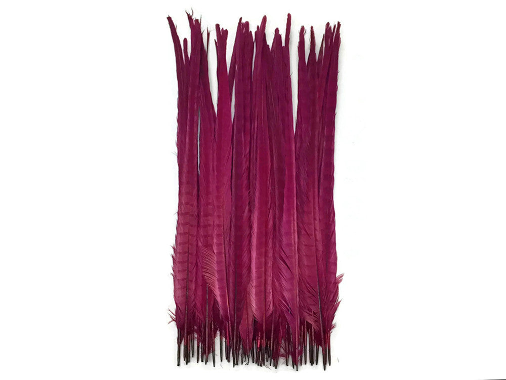 50 Pieces - 18-22" Burgundy Bleached & Dyed Long Ringneck Pheasant Tail Wholesale Feathers (Bulk)