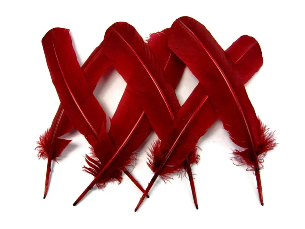 Vibrant red feathers for DIY crafts, fashion accessories, and creative décor projects.