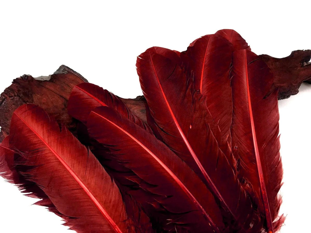 Vibrant deep red craft feathers arranged on a dark wood base.