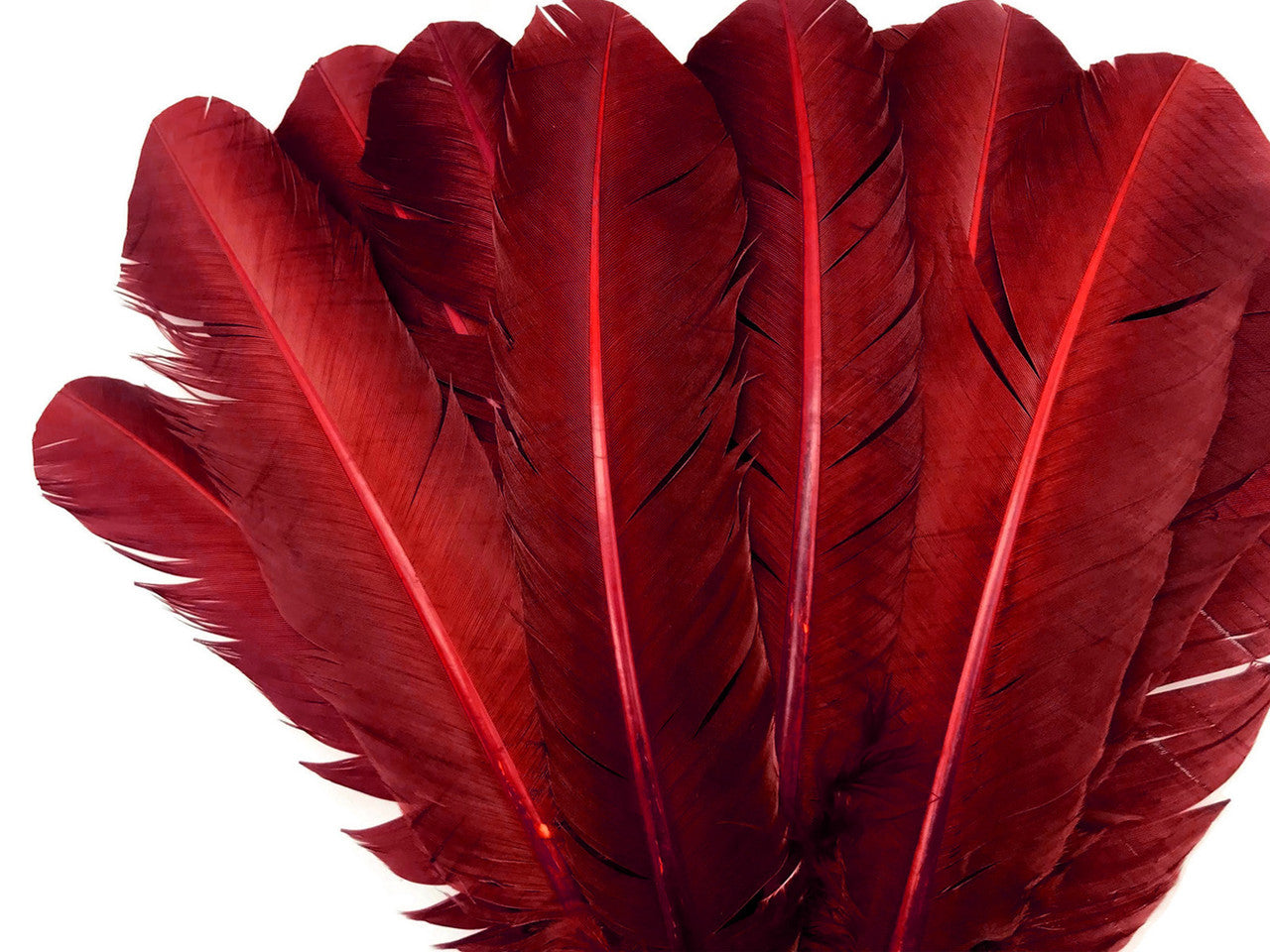 6 Pieces - Burgundy Turkey Rounds Secondary Wing Quill Feathers