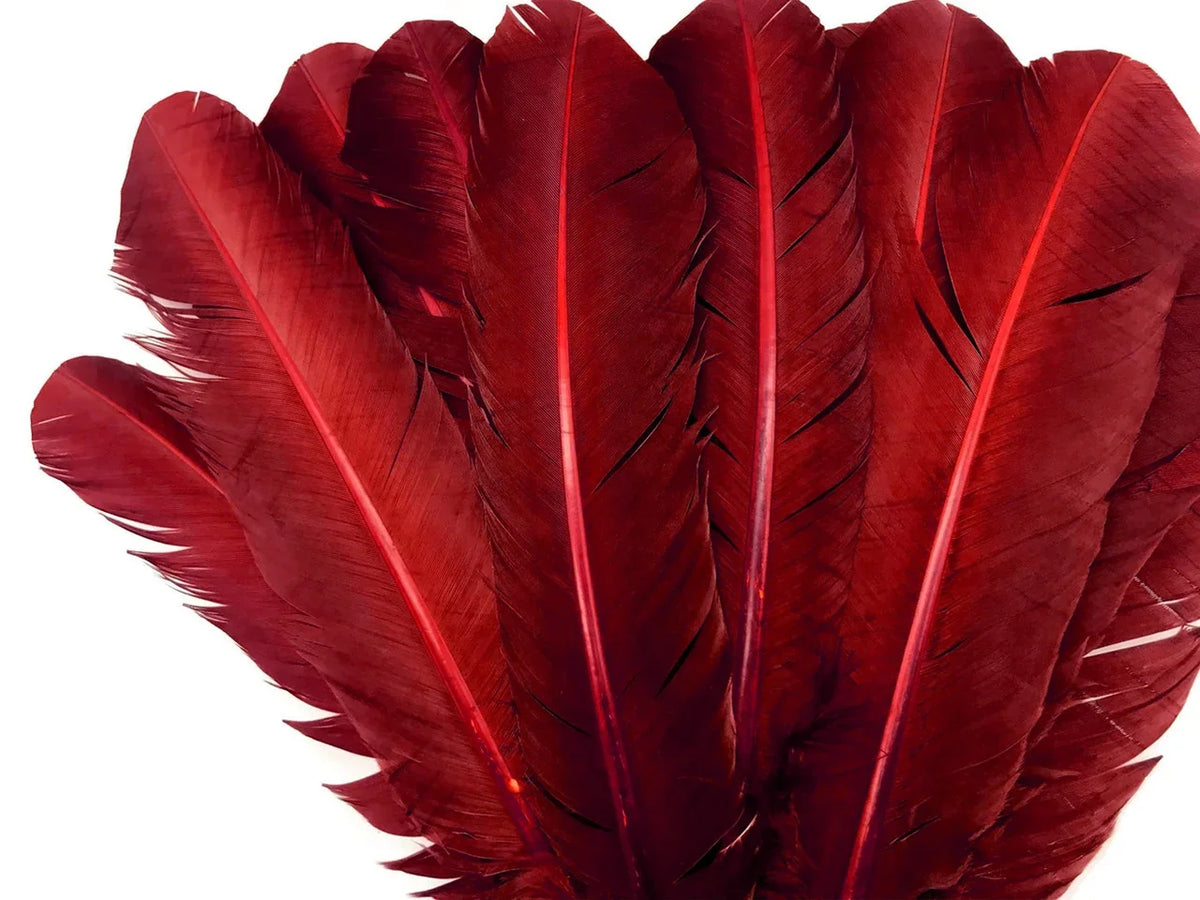 Vibrant deep red dyed feathers for DIY crafts and fashion accessories.