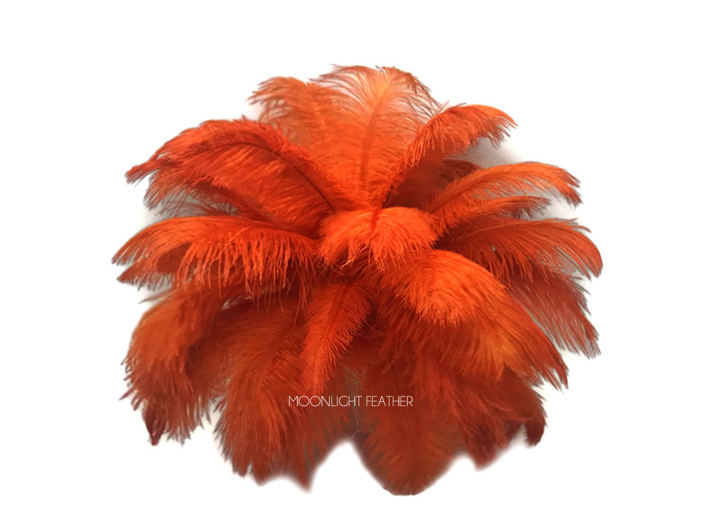 10 Pieces - 14-17" Burnt Orange Ostrich Dyed Drab Body Feathers