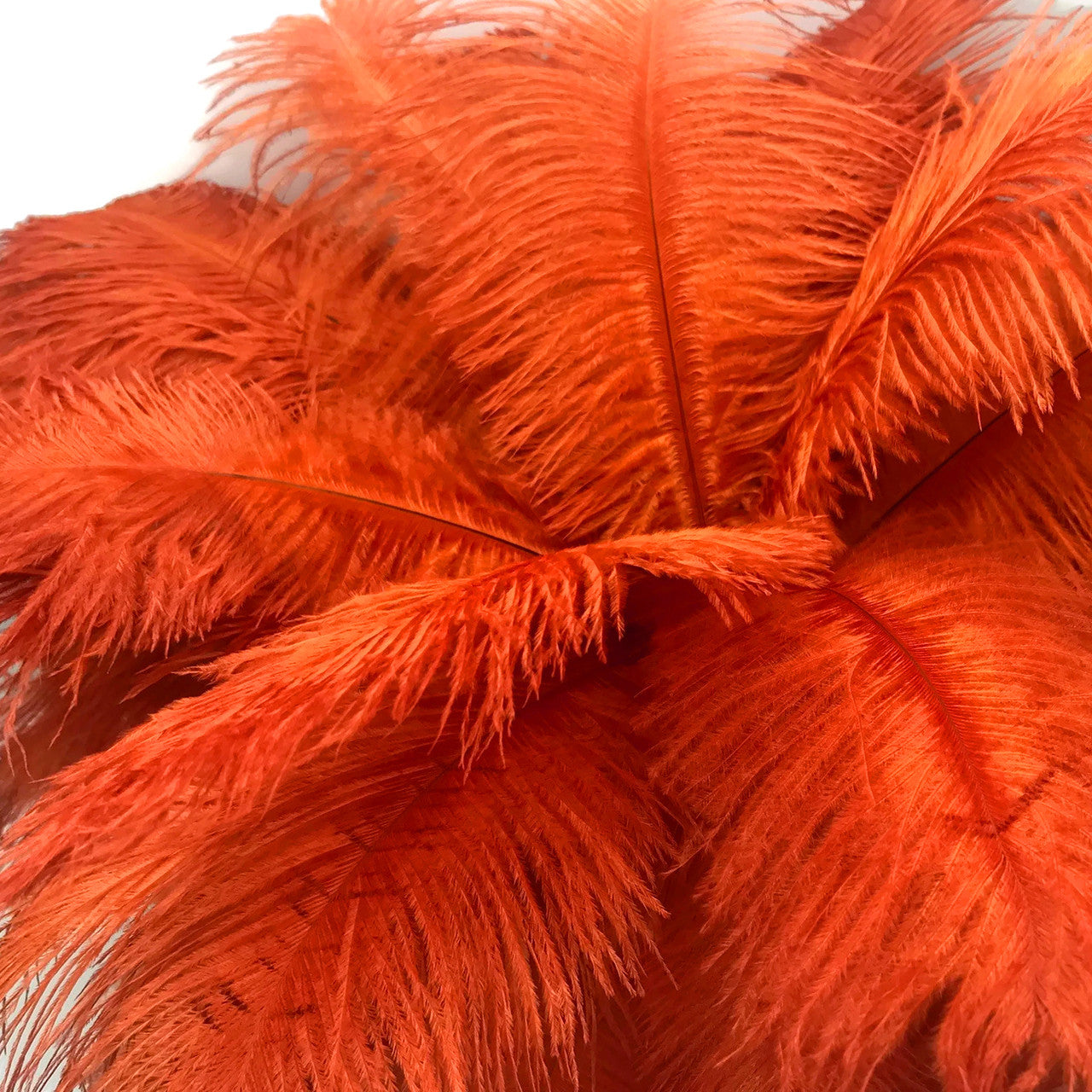 10 Pieces - 14-17" Burnt Orange Ostrich Dyed Drab Body Feathers