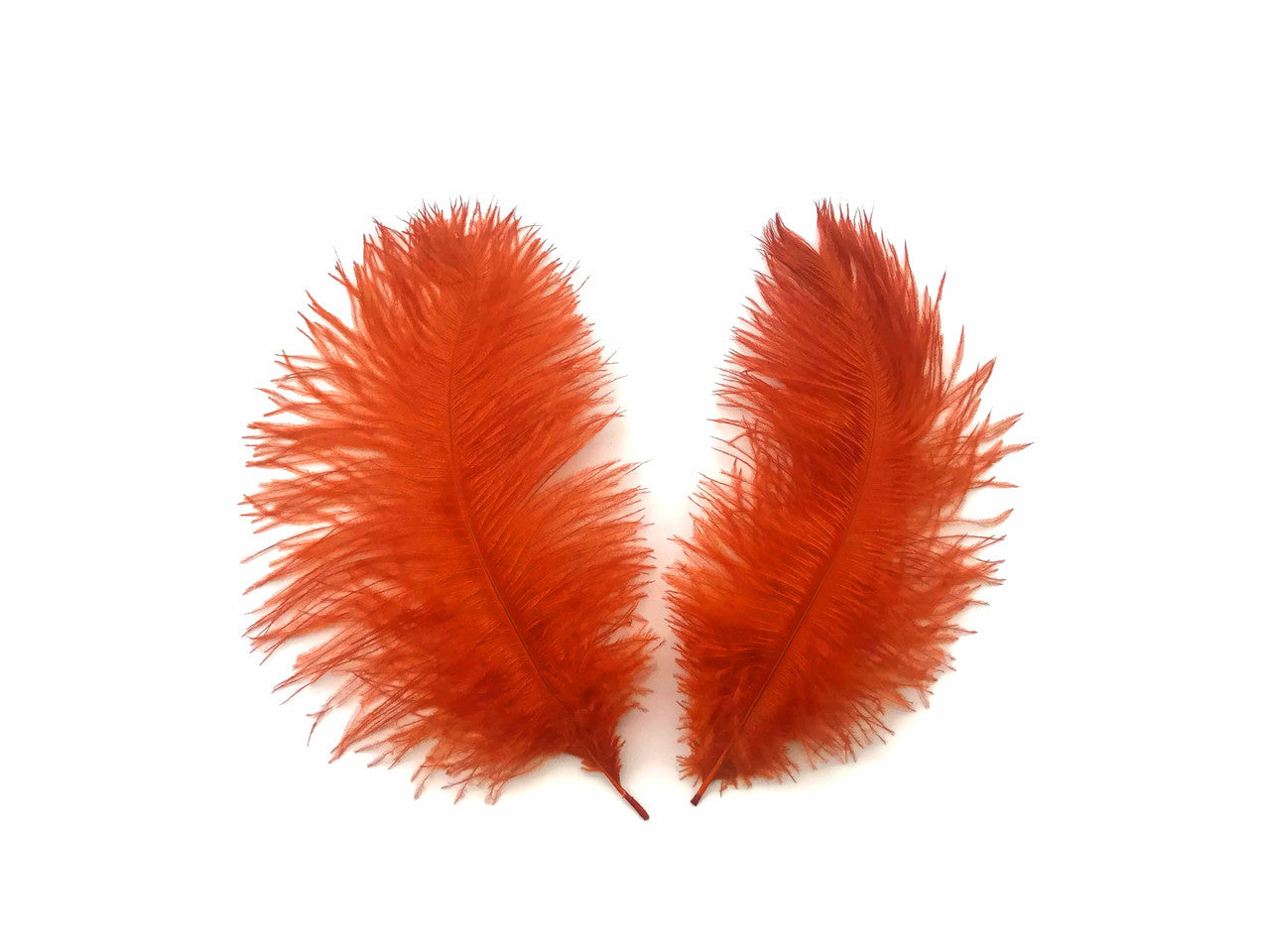 10 Pieces - 14-17" Burnt Orange Ostrich Dyed Drab Body Feathers