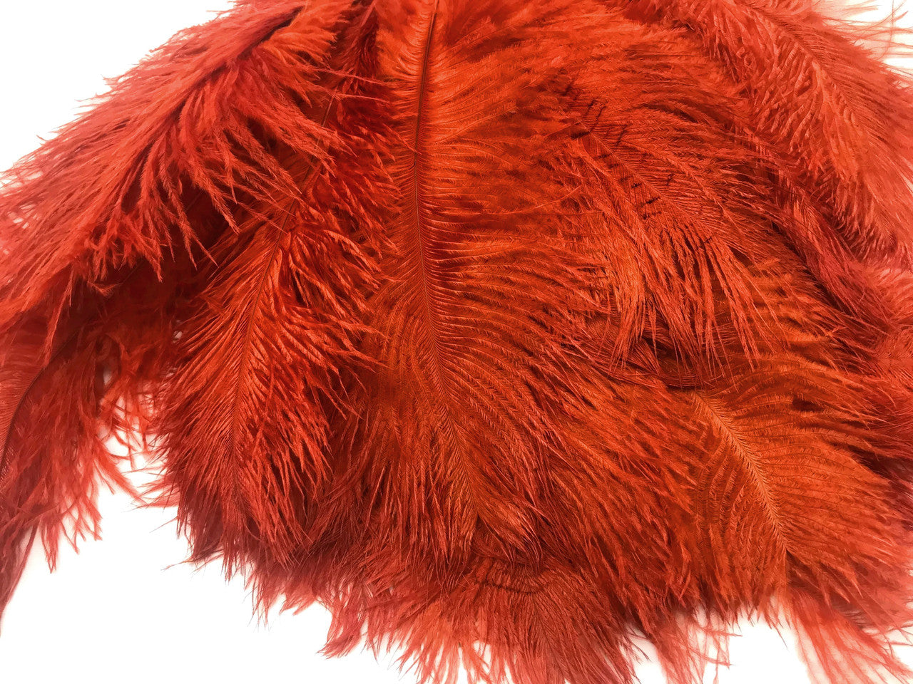 10 Pieces - 14-17" Burnt Orange Ostrich Dyed Drab Body Feathers