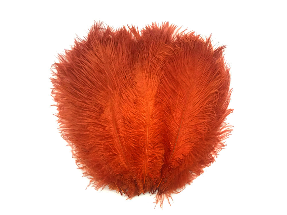 10 Pieces - 14-17" Burnt Orange Ostrich Dyed Drab Body Feathers