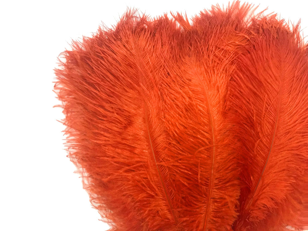 10 Pieces - 14-17" Burnt Orange Ostrich Dyed Drab Body Feathers