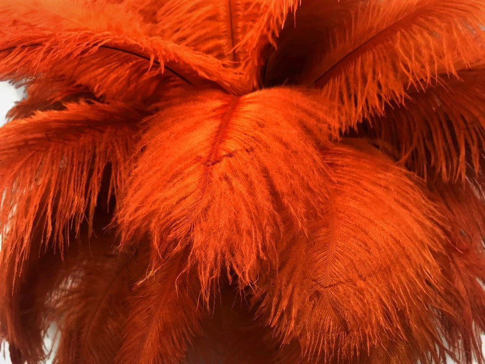 10 Pieces - 14-17" Burnt Orange Ostrich Dyed Drab Body Feathers