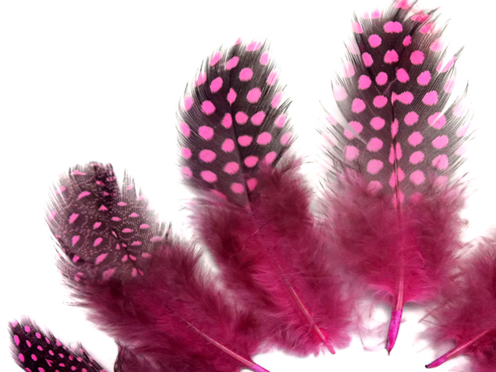 1 Pack - Candy Pink Guinea Hen Polka Dot Plumage Feathers 0.10 Oz.