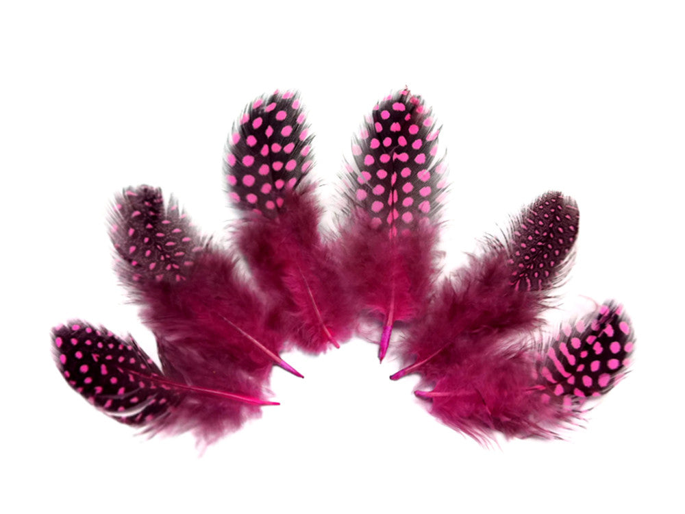 1 Pack - Candy Pink Guinea Hen Polka Dot Plumage Feathers 0.10 Oz.