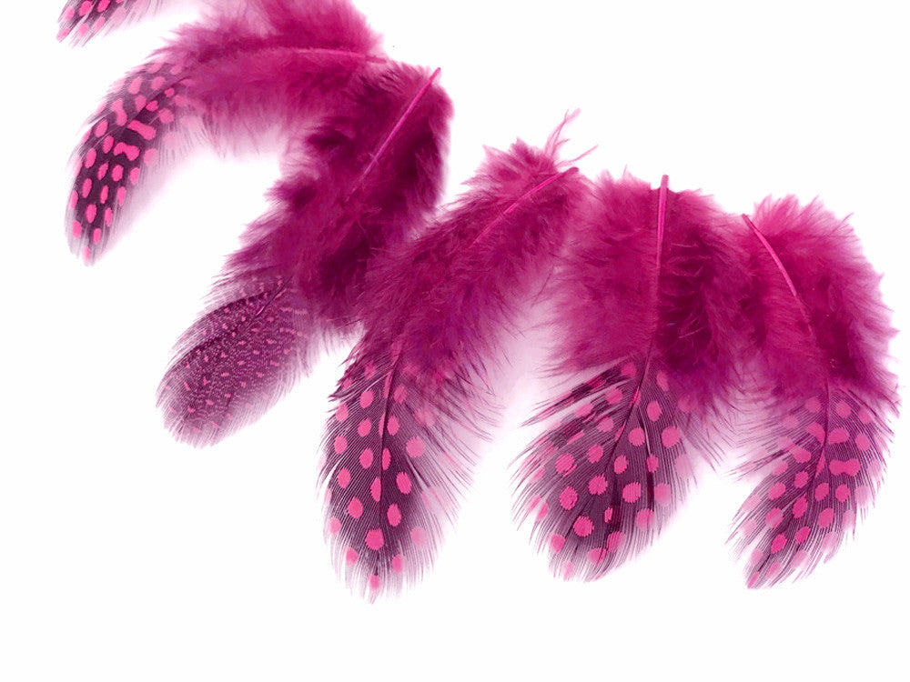 1 Pack - Candy Pink Guinea Hen Polka Dot Plumage Feathers 0.10 Oz.