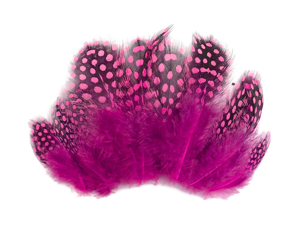 1/4 Lb - Candy Pink Guinea Hen Plumage Polka Dot Feathers Wholesale (Bulk)