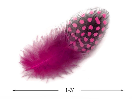 1 Pack - Candy Pink Guinea Hen Polka Dot Plumage Feathers 0.10 Oz.