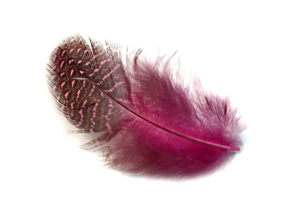 1/4 Lb - Candy Pink Guinea Hen Plumage Polka Dot Feathers Wholesale (Bulk)