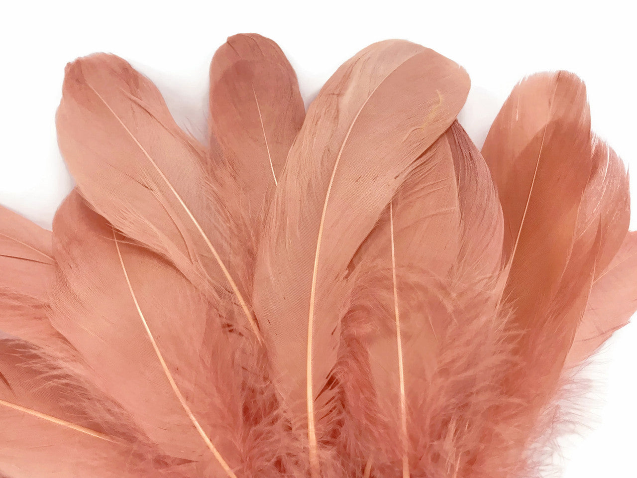 1/4 Lb - Champagne Goose Nagoire Wholesale Feathers (Bulk)