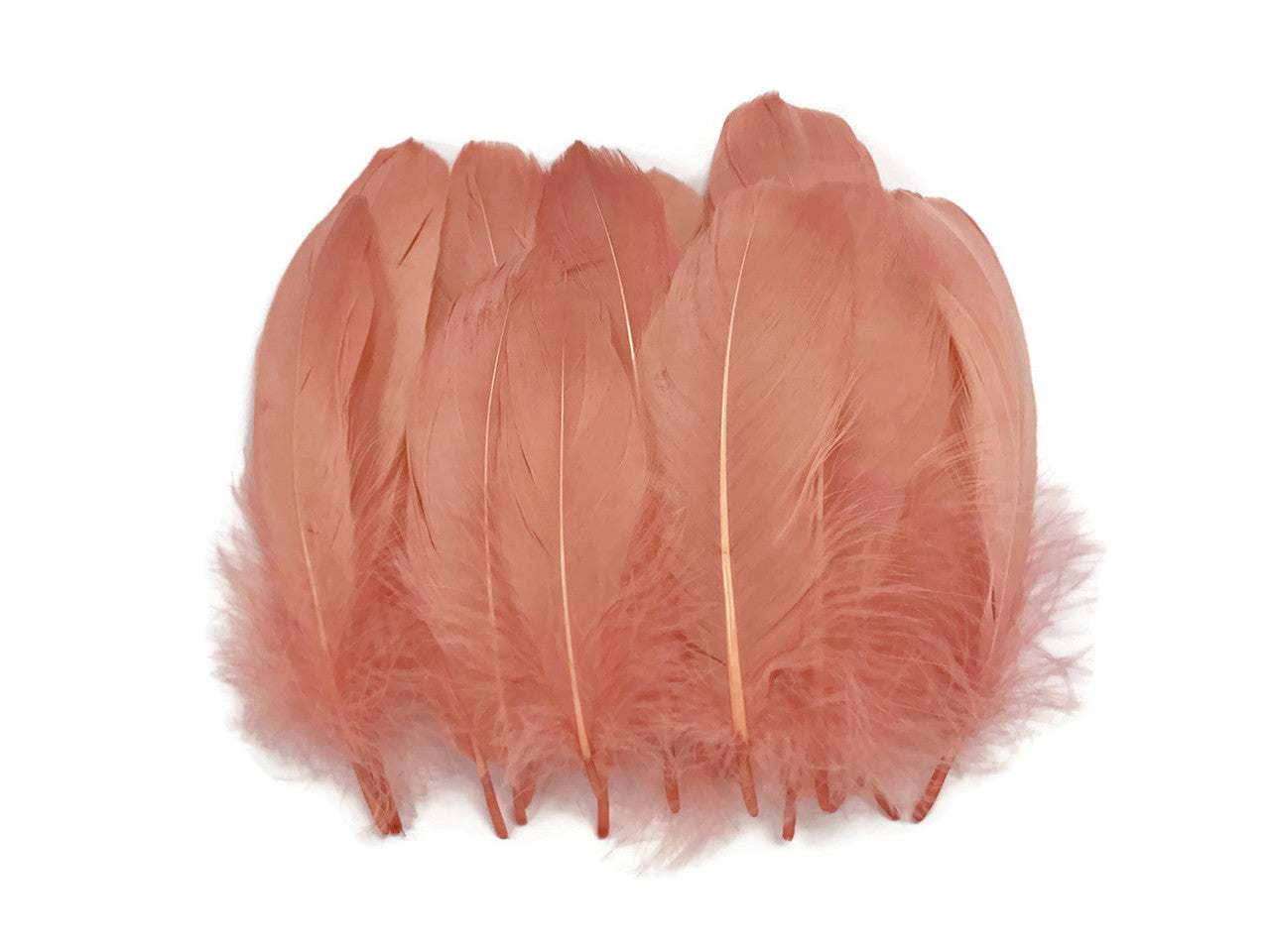 1 Pack - Champagne Goose Nagoire Loose Feather - 0.25 Oz.