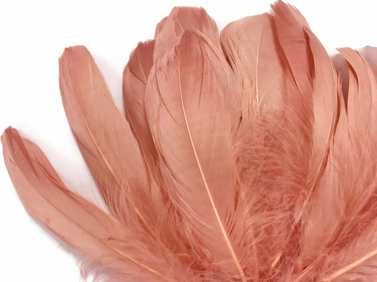 1/4 Lb - Champagne Goose Nagoire Wholesale Feathers (Bulk)