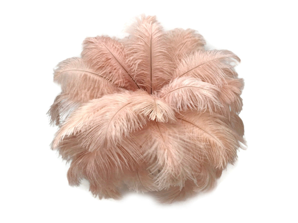 10 Pieces - 8-10" Champagne Ostrich Dyed Drabs Feathers