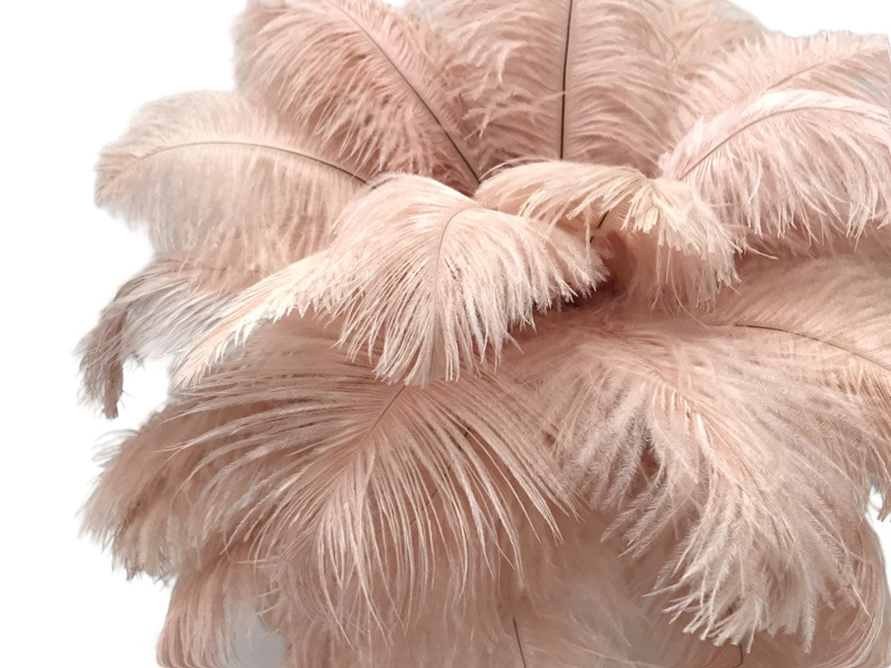 10 Pieces - 11-13" Champagne Bleached & Dyed Ostrich Drabs Body Feathers