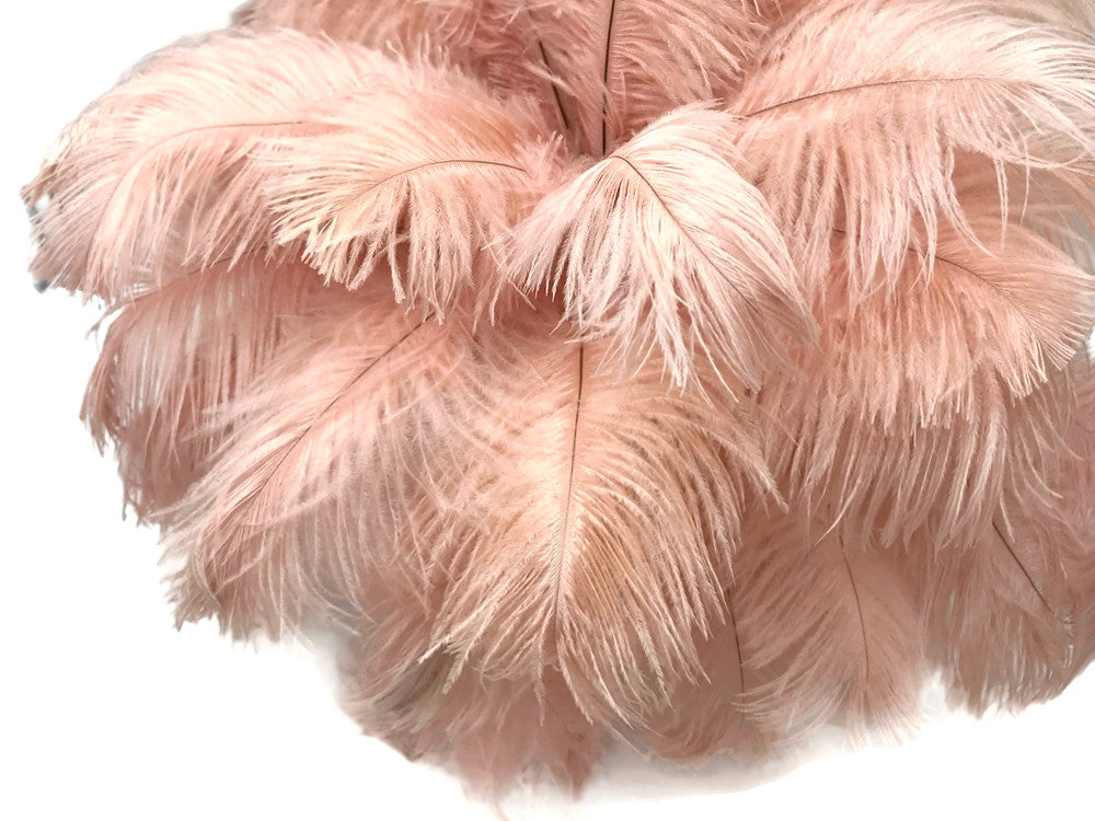 10 Pieces - 19-24" Champagne Ostrich Dyed Drabs Body Feathers