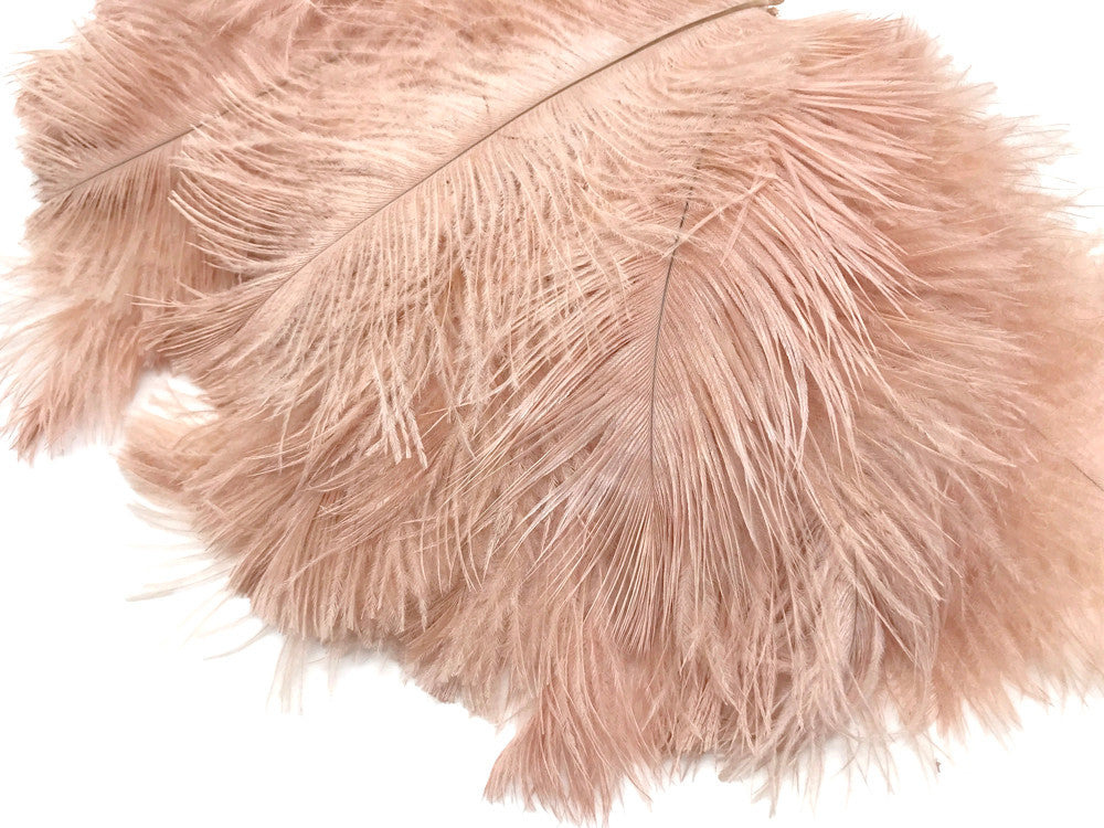 100 Pieces - 8-10" Champagne Ostrich Dyed Drab Body Wholesale Feathers (Bulk)