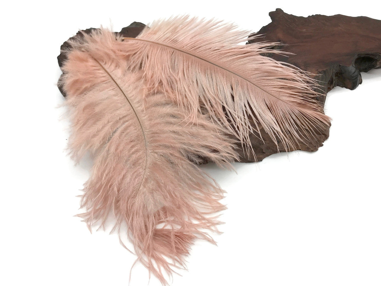 1/2 lb. - 14-17" Champagne Ostrich Large Body Drab Wholesale Feathers (Bulk)