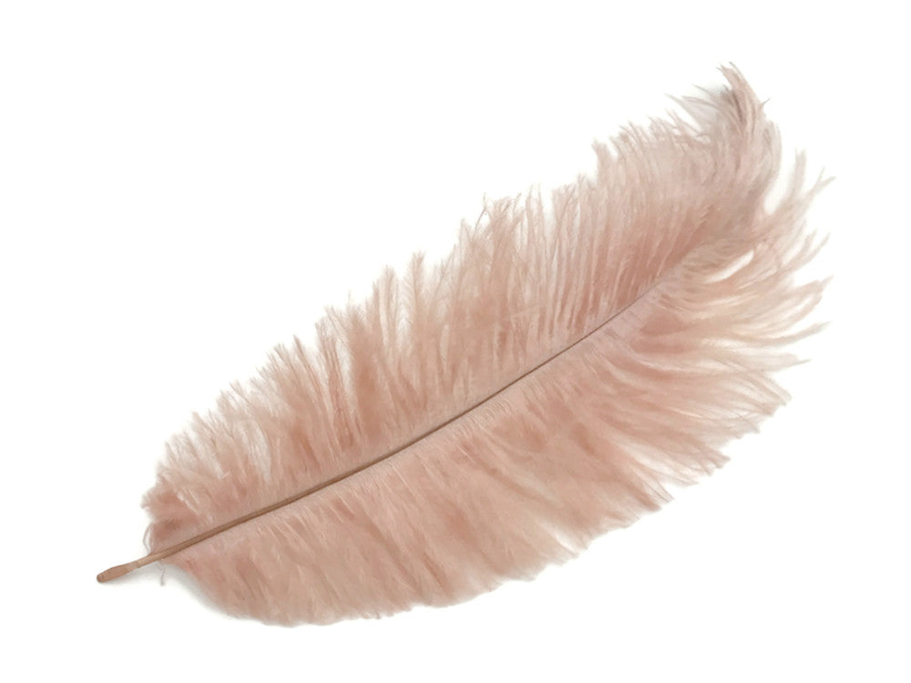 10 Pieces - 11-13" Champagne Bleached & Dyed Ostrich Drabs Body Feathers