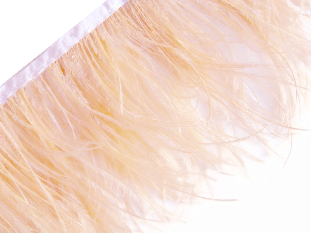 6 Inch Strip - Champagne Ostrich Fringe Trim Feather