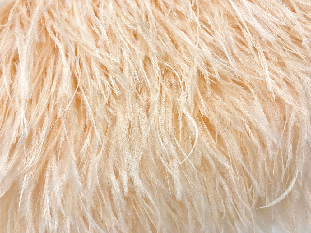 6 Inch Strip - Champagne Ostrich Fringe Trim Feather