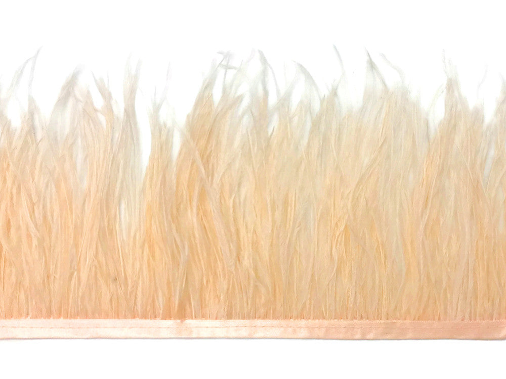 6 Inch Strip - Champagne Ostrich Fringe Trim Feather