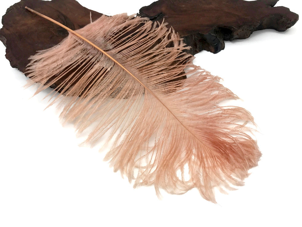 10 Pieces -  12-16" Champagne Dyed Ostrich Tail Fancy Feathers