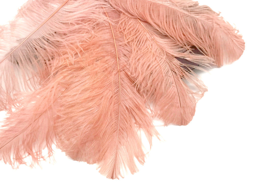 1/2 Lb. - 18-24" Champagne Large Ostrich Wing Plume Wholesale Feathers (Bulk)