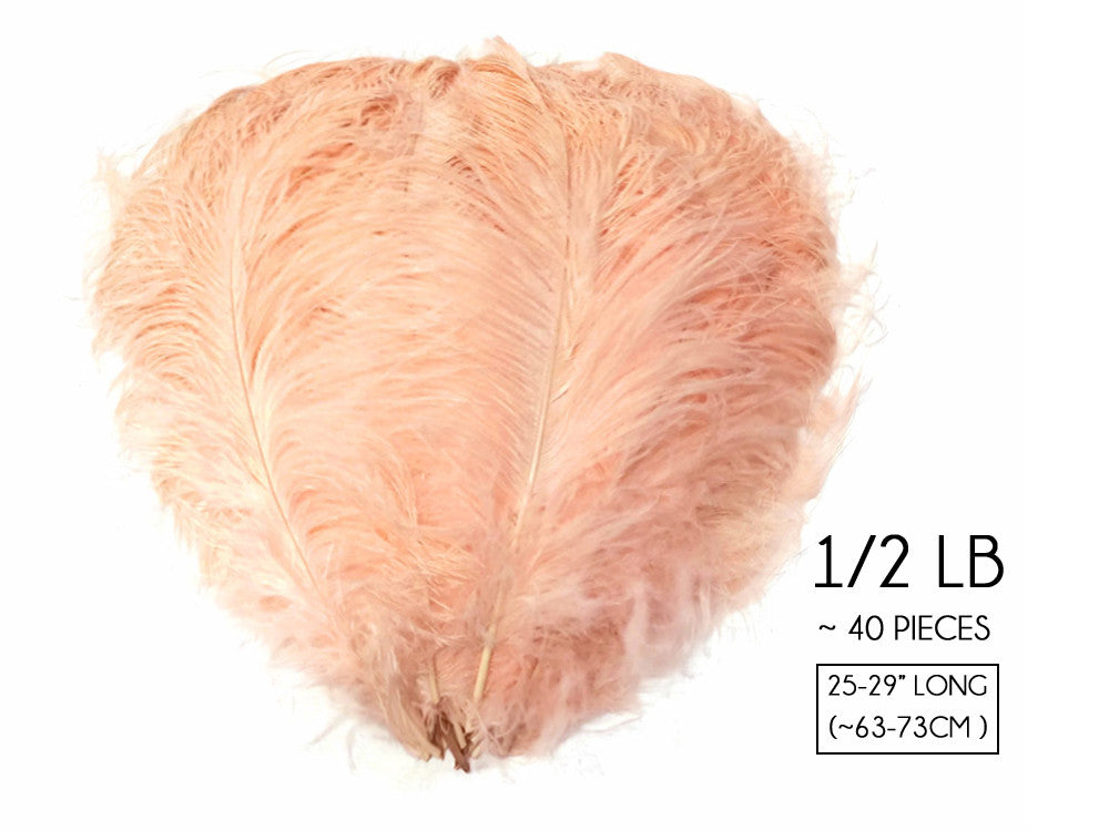 1/2 Lb. - 25-29" Champagne Large Ostrich Wing Plume Wholesale Feathers (Bulk)