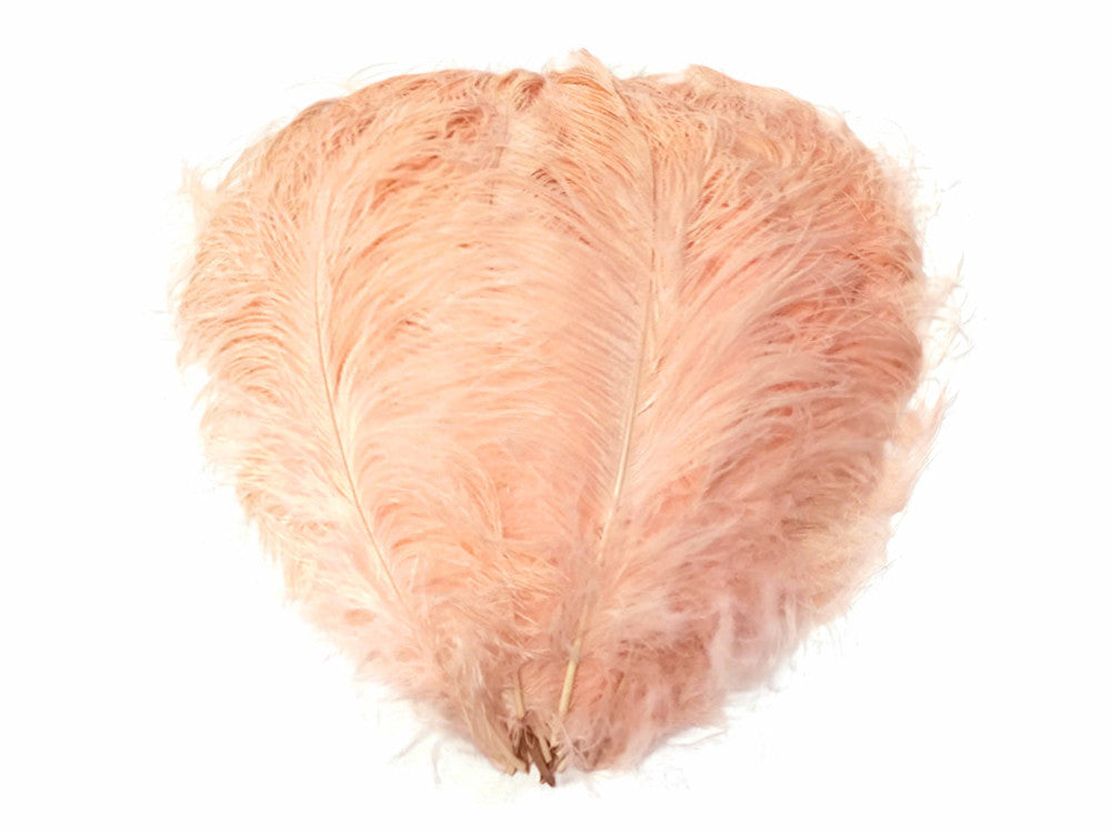 10 Pieces - 18-24" Champagne Large Prime Grade Ostrich Wing Plume Centerpiece Feathers