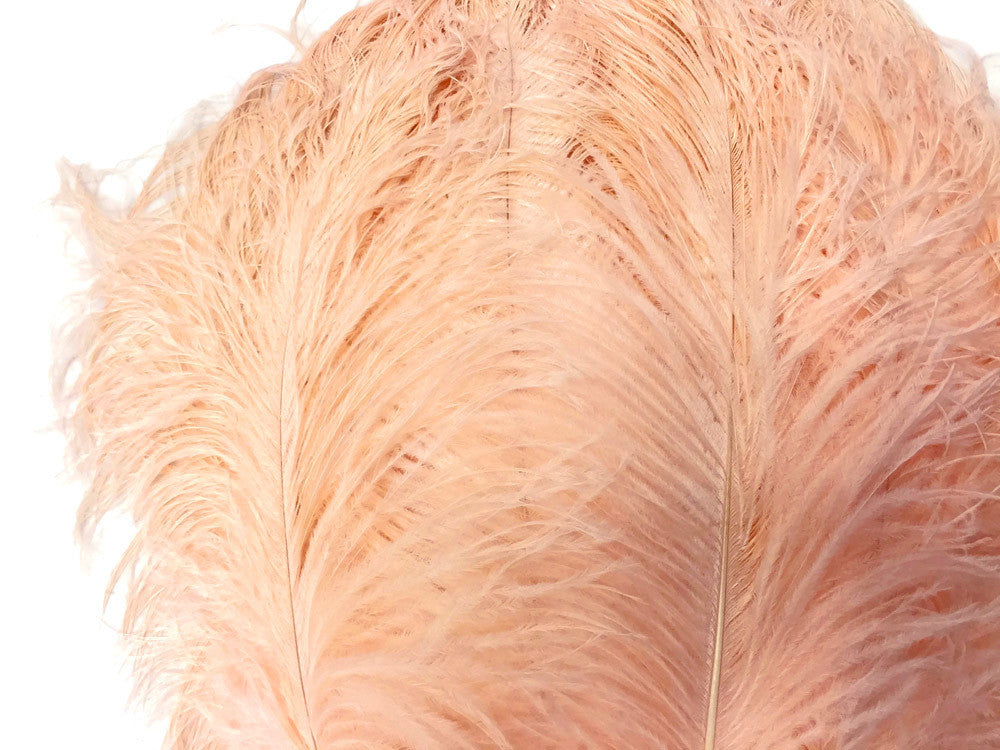 1/2 Lb. - 18-24" Champagne Large Ostrich Wing Plume Wholesale Feathers (Bulk)