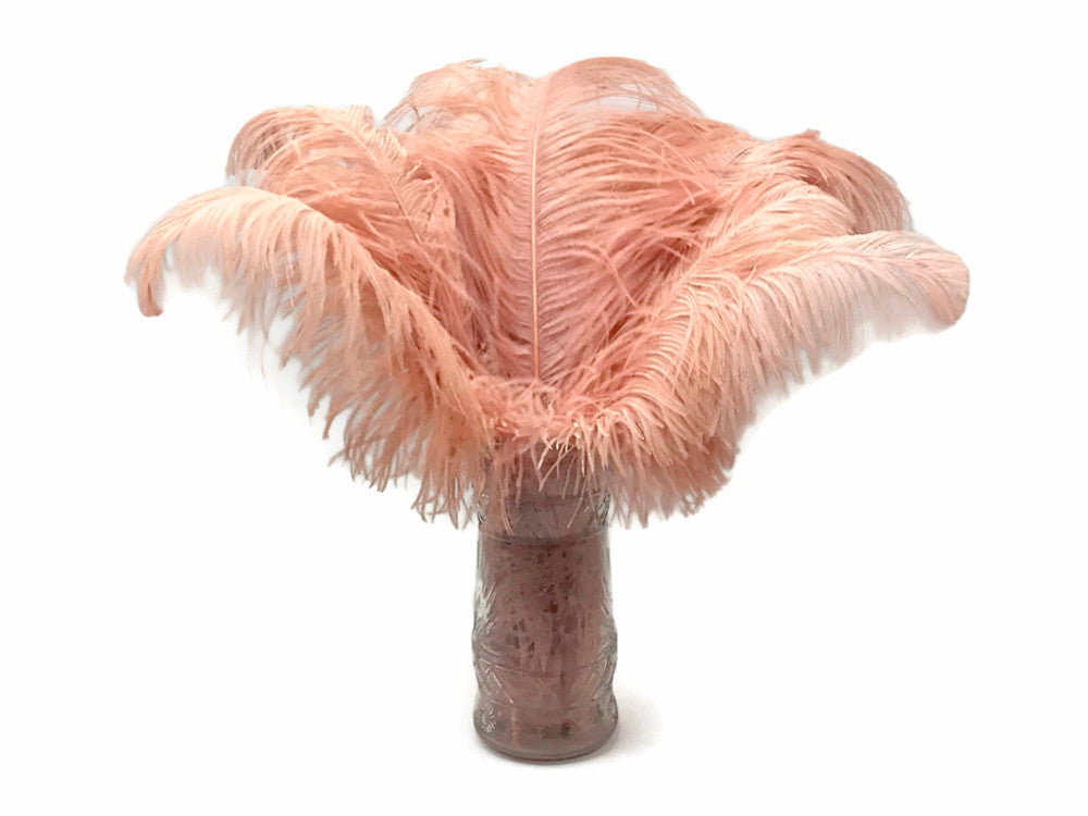 10 Pieces - 18-24" Champagne Large Prime Grade Ostrich Wing Plume Centerpiece Feathers