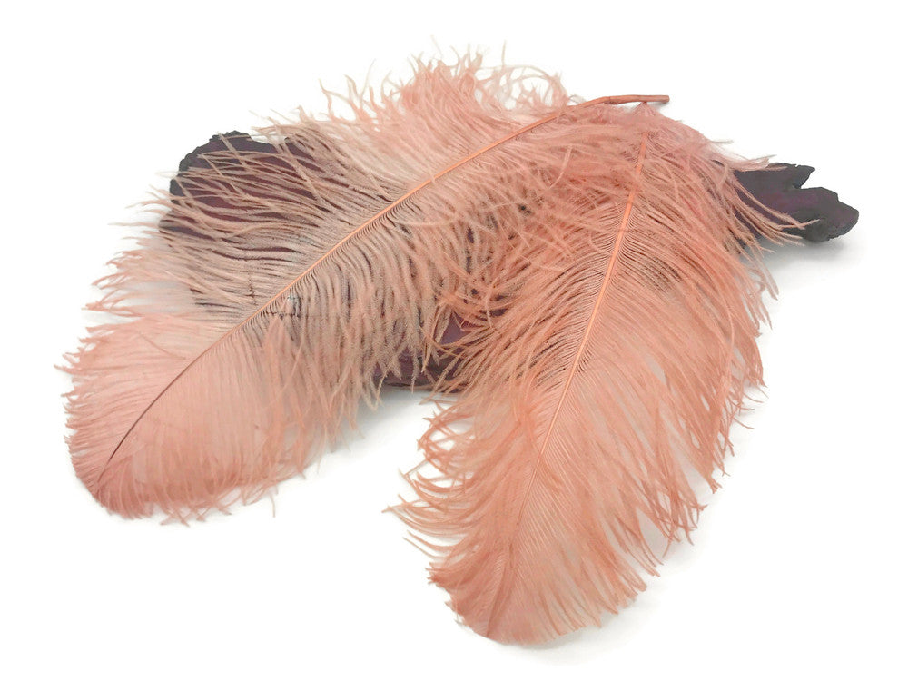 1/2 Lb. - 25-29" Champagne Large Ostrich Wing Plume Wholesale Feathers (Bulk)