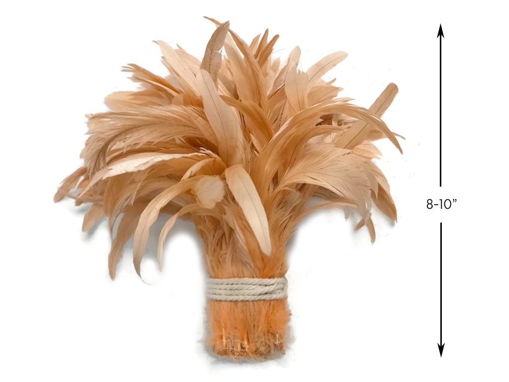 2.5  Inch Strip - 8-10" Champagne Strung Natural Bleach & Dyed Coque Tails Feathers