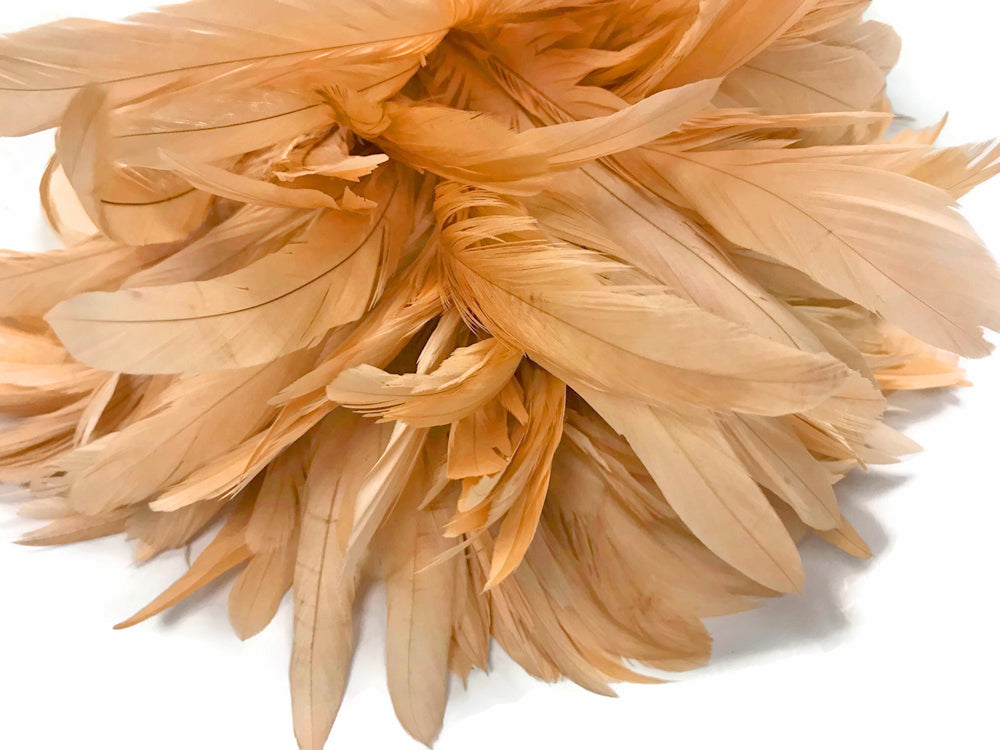 2.5  Inch Strip - 8-10" Champagne Strung Natural Bleach & Dyed Coque Tails Feathers