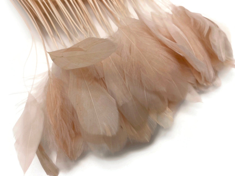 1 Yard - Champagne Stripped Coque Tail Feathers Wholesale Trim (Bulk)