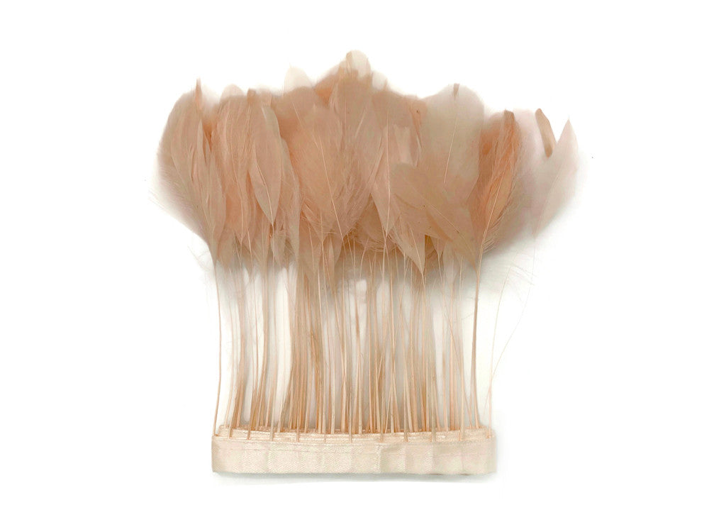 1 Dozen - Champagne Stripped Rooster Coque Tail Feathers