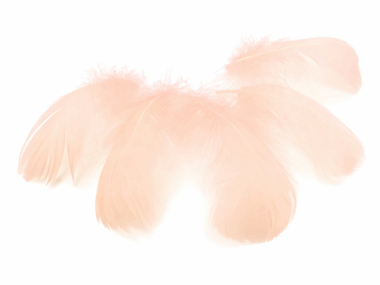 1 Pack - 2-3" Champagne Goose Coquille Loose Feathers - 0.35 Oz.