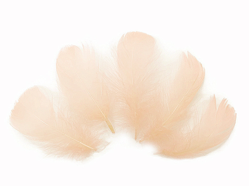 1 Pack - 2-3" Champagne Goose Coquille Loose Feathers - 0.35 Oz.