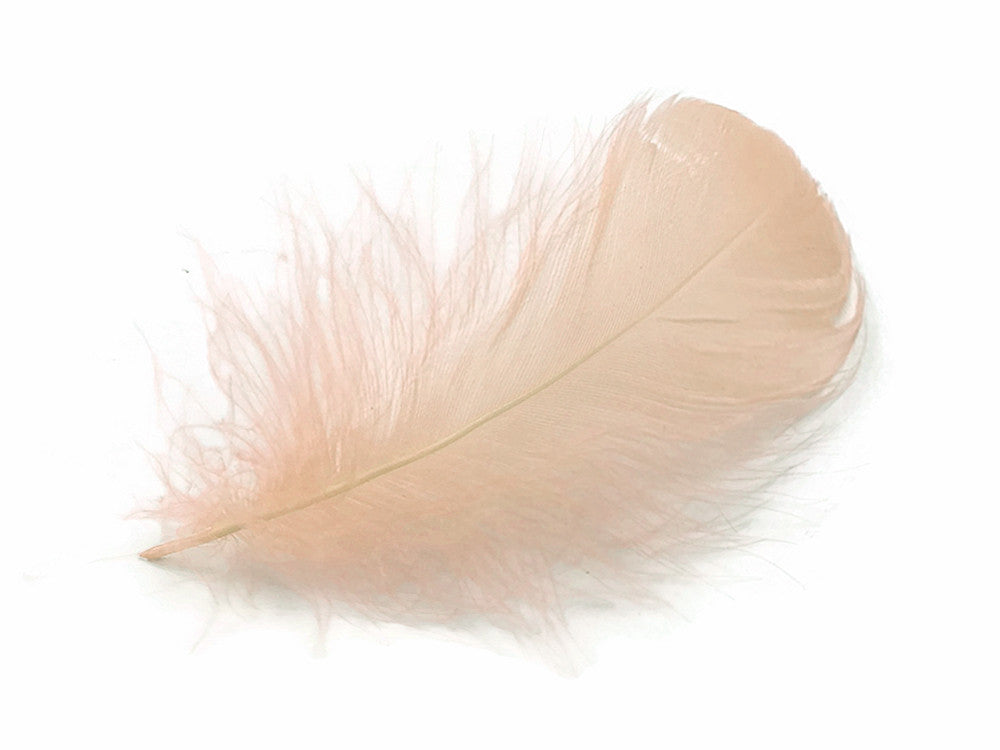 1 Pack - 2-3" Champagne Goose Coquille Loose Feathers - 0.35 Oz.