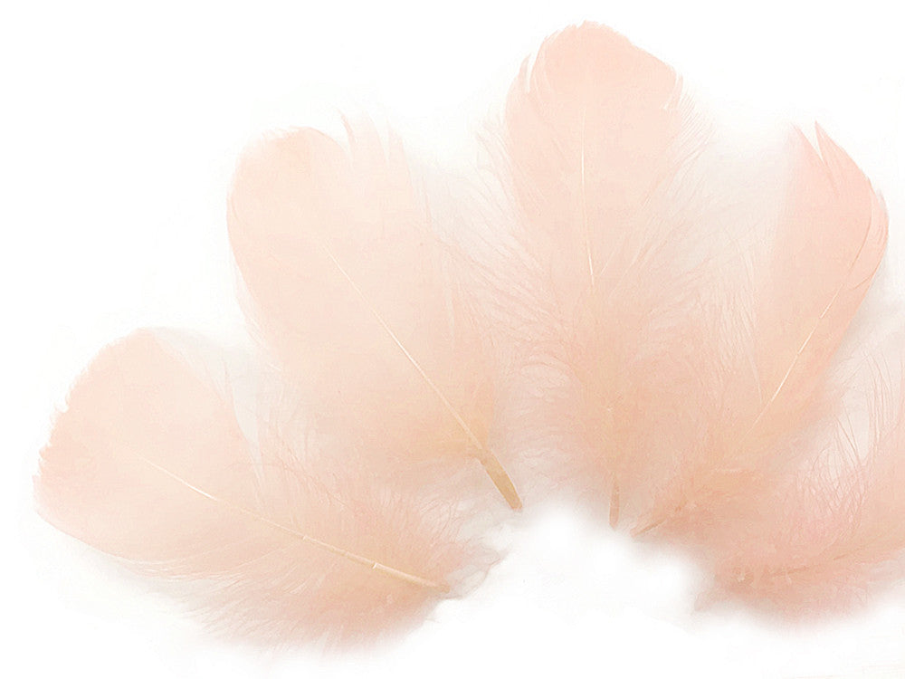 1 Pack - 2-3" Champagne Goose Coquille Loose Feathers - 0.35 Oz.