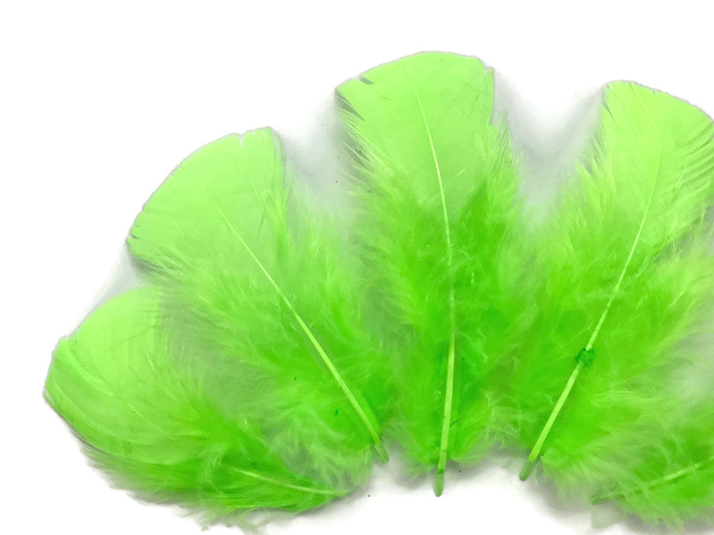 1 Pack - Chartreuse Green Dyed Turkey T-Base triangle Body Plumage Feathers 0.50 Oz.