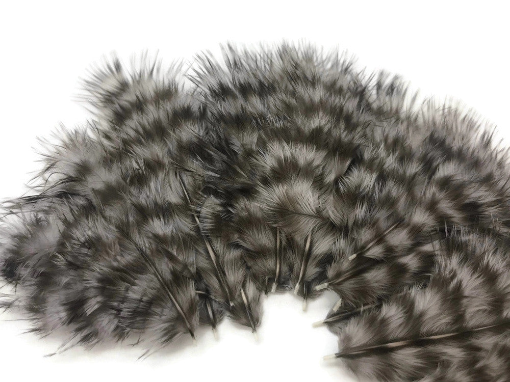 1 Dozen - Grey Dun Grizzly Mini Rooster Chickabou Fluff Whiting Hair Feathers