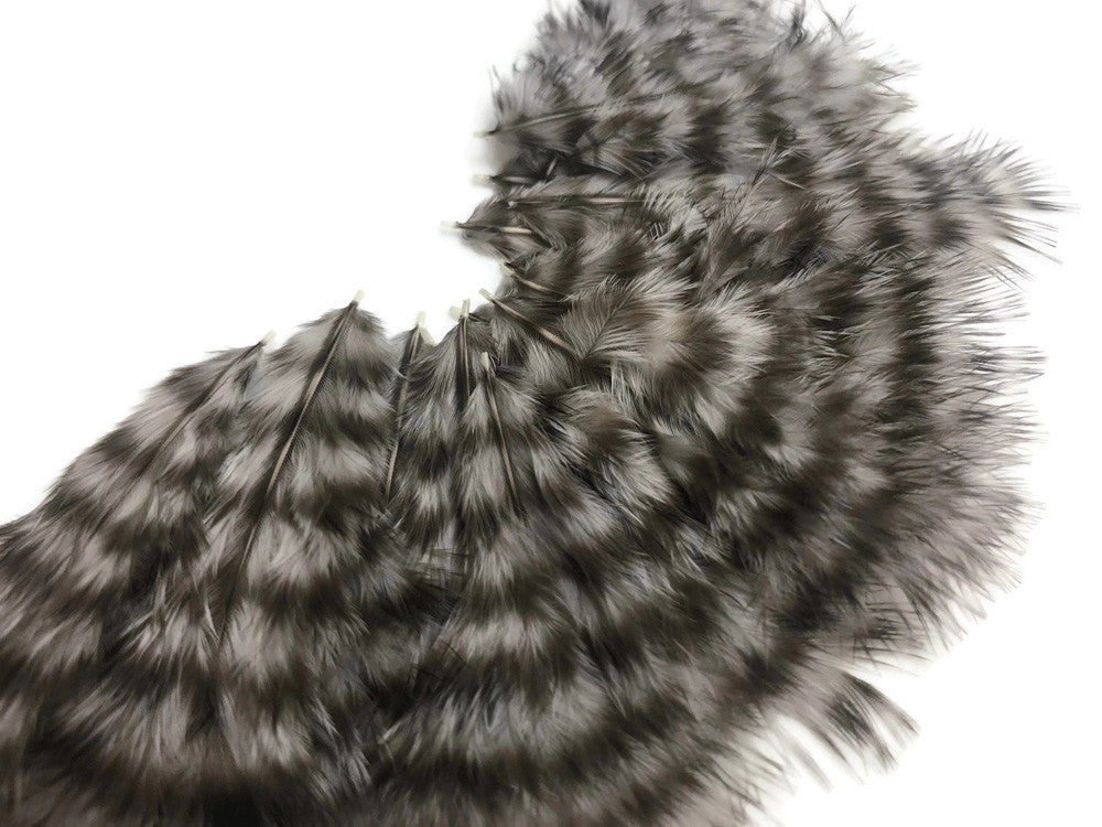 1 Dozen - Grey Dun Grizzly Mini Rooster Chickabou Fluff Whiting Hair Feathers