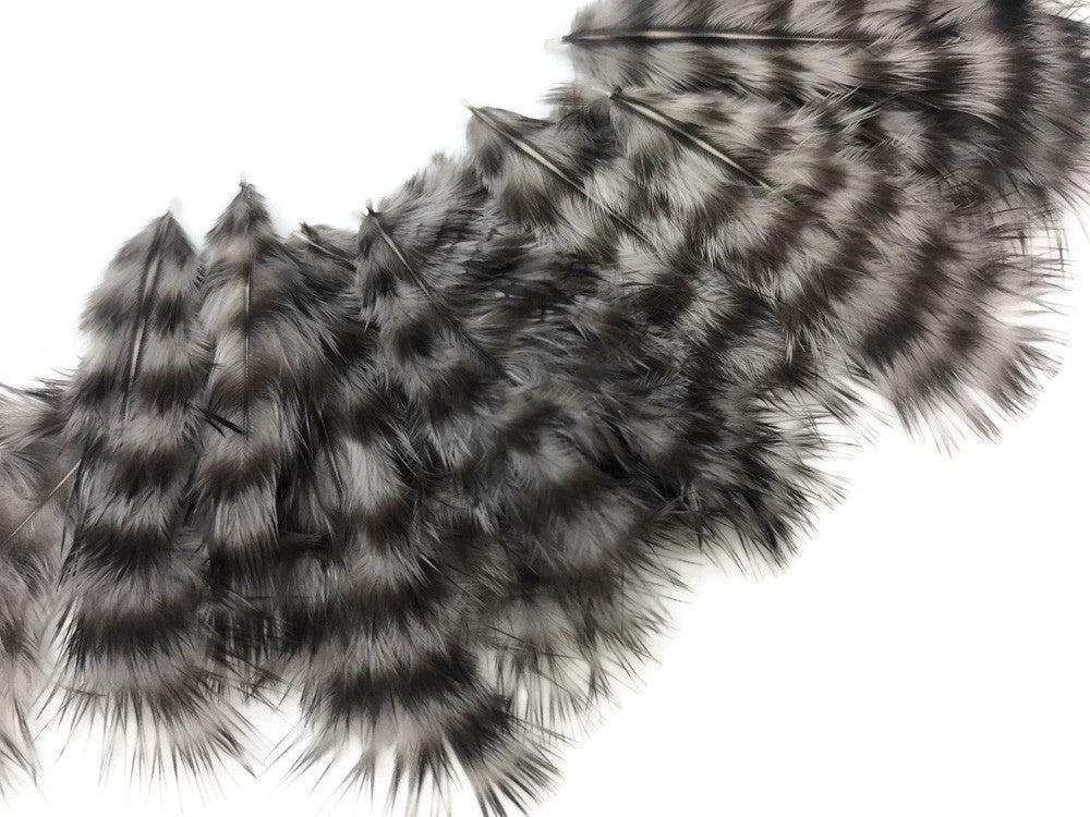 1 Dozen - Grey Dun Grizzly Mini Rooster Chickabou Fluff Whiting Hair Feathers